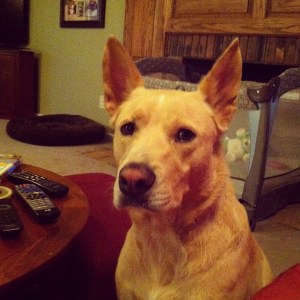 215739_4170342693285_1368469344_n