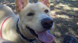 298795_2277470692668_386143_n