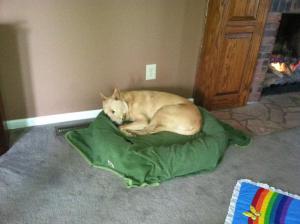 One of his many beds