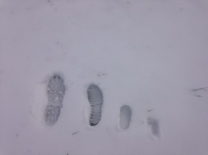 Our soon-to-be family