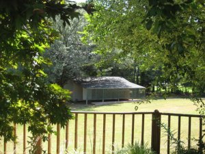 39019_1502091188665_6873906_n