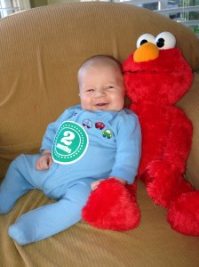 what we do at home to pass the months.