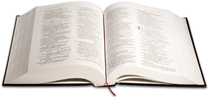 bible3