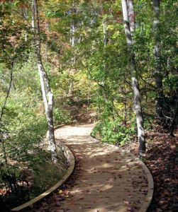 park-parismountainstatepark-mphoto-04